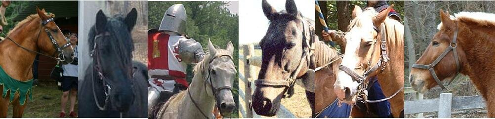 Fred, Sir Robert's equine partner; Mystery, in training; Guy of Guiesbourne, Dame Katherine's equine partner, Ryan's King, Buba, Duke; Ranger, Sir Morgan's equine partner